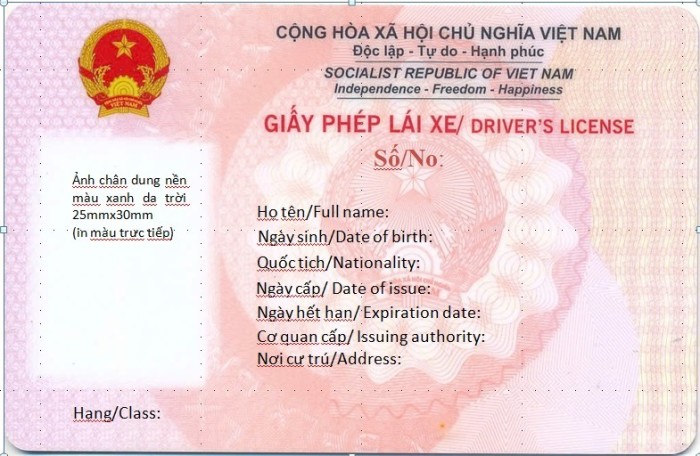 Giấy phép lái xe
